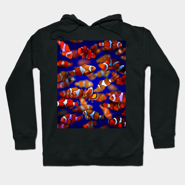 Clown Fish Hoodie by MaxencePierrard